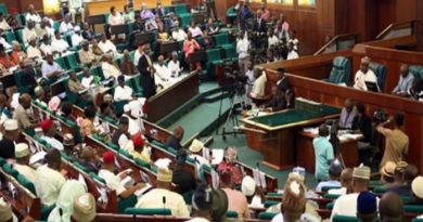 Reps pass N27.5trn 2024 budget for second reading