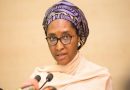 Budget: Buhari regime had N6.37tr fiscal deficit as of November -Finance Minister
