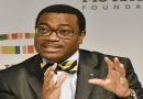 Africa must stop raw materials’ export to trigger growth -Adesina