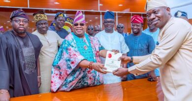 Budget 2025 will be rigorously implemented – Governor Adeleke