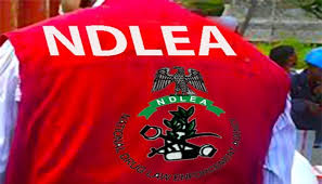 NDLEA arrests Paris-bound businessman for ingesting 74 wraps of heroin, cocaine